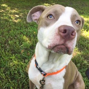 Meet your Posher, Aaron